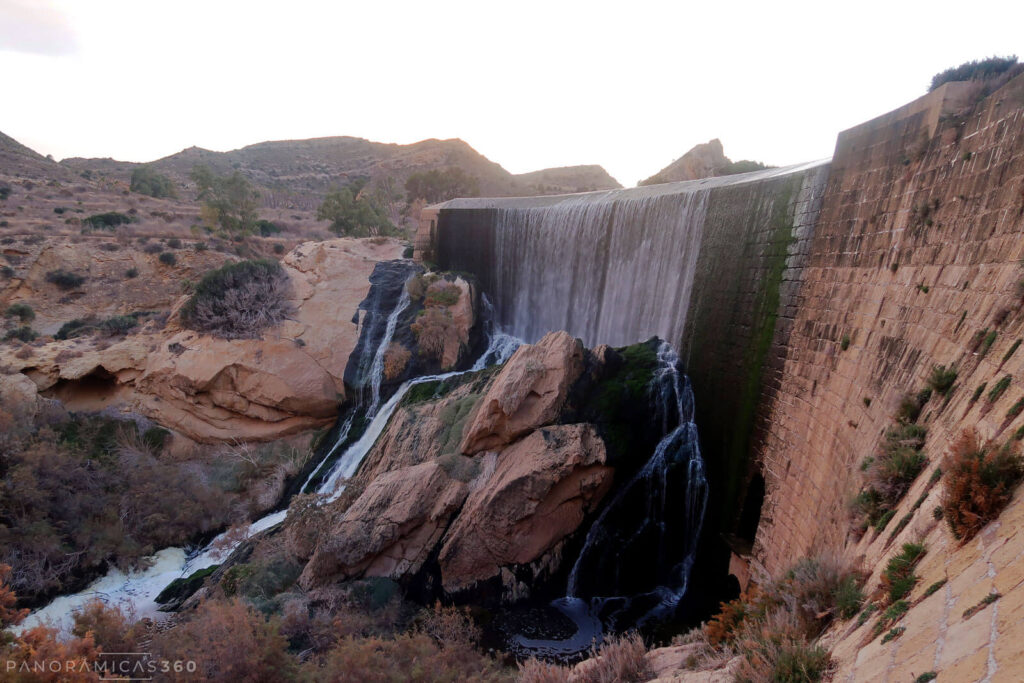 Pantano de Elche