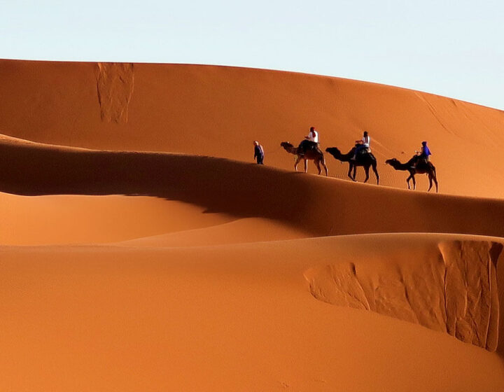 Caravana de dromedarios cruzando el desierto de Erg Chebbi