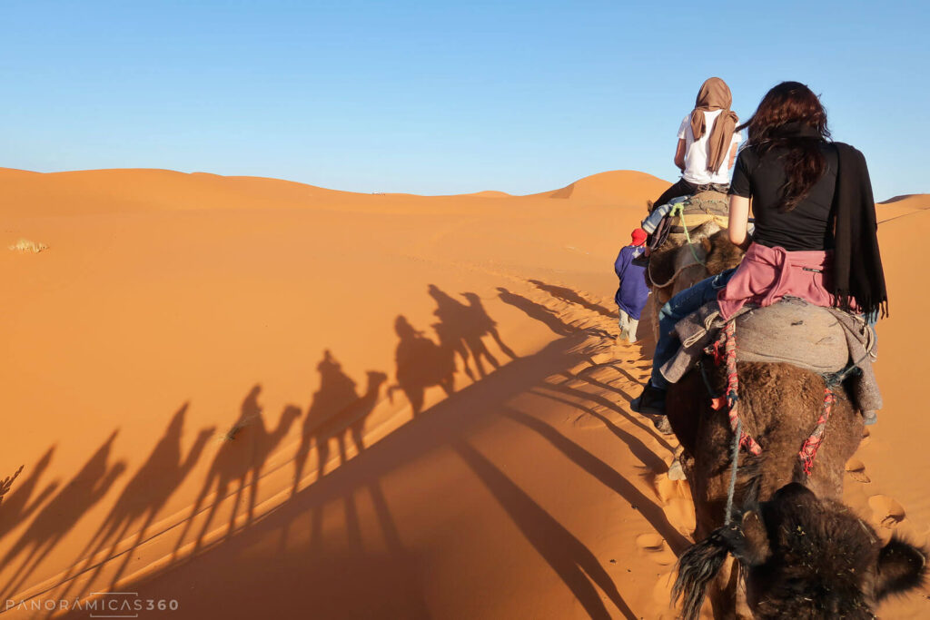 Ruta en dromedario por el desierto Erg Chebbi