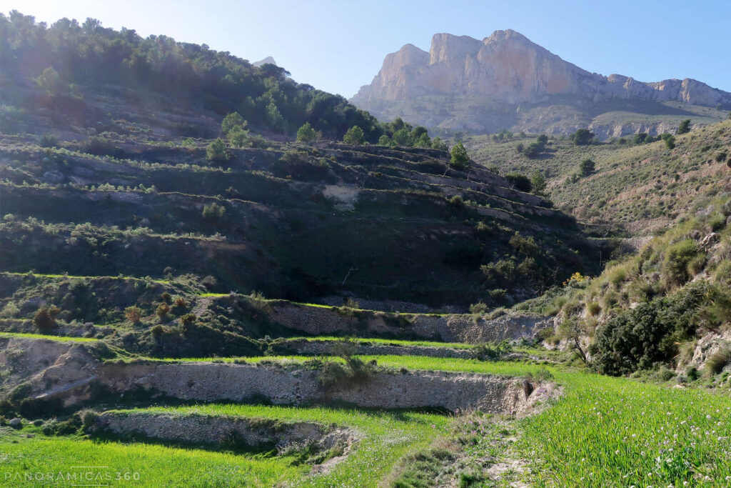 Penya de Migjorn