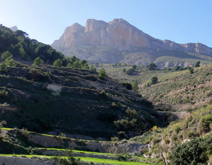 Penya de Migjorn