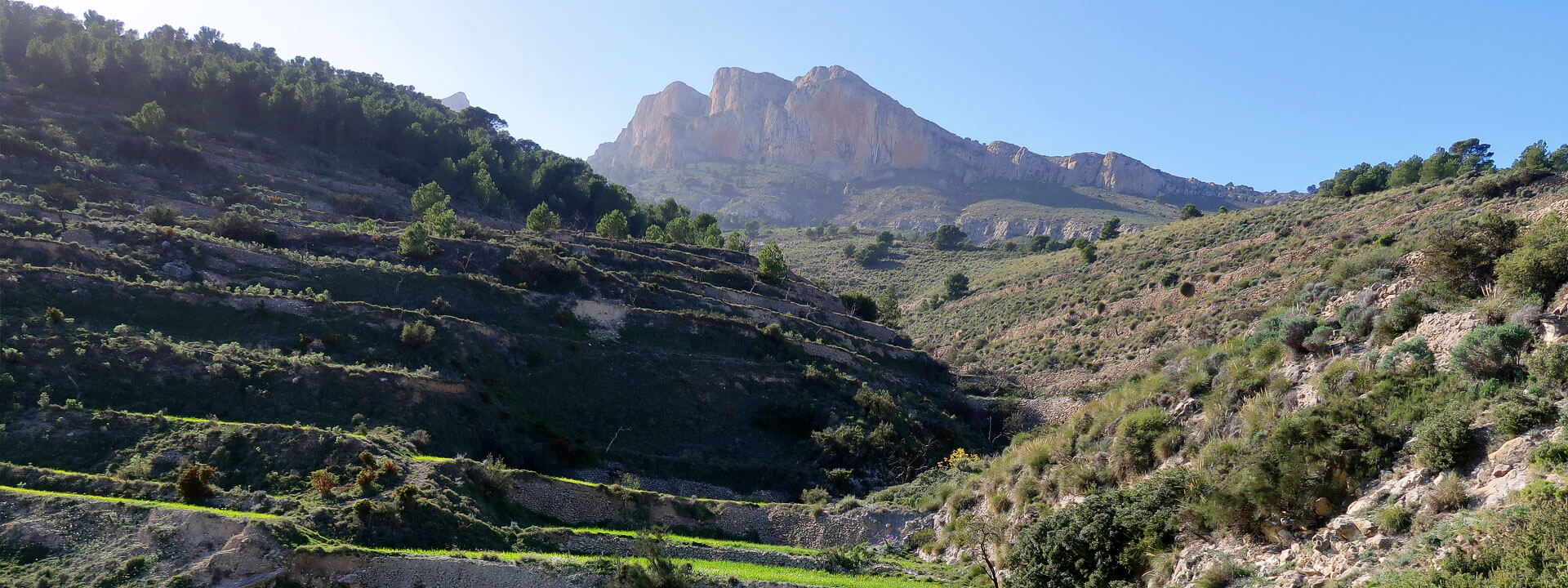 Penya de Migjorn