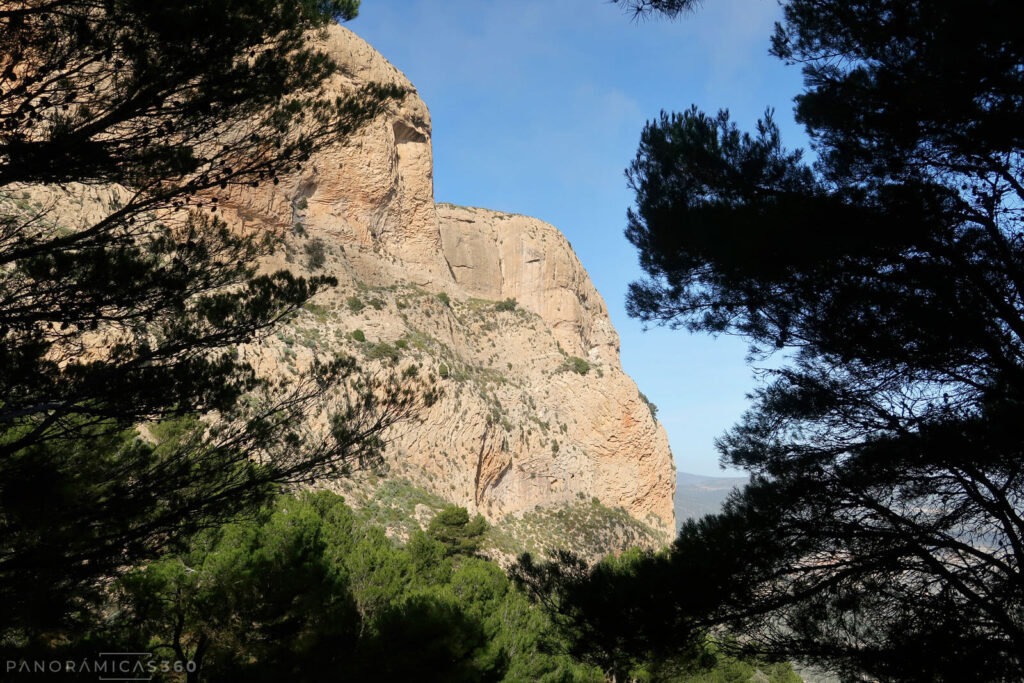 Penya Migjorn entre los árboles