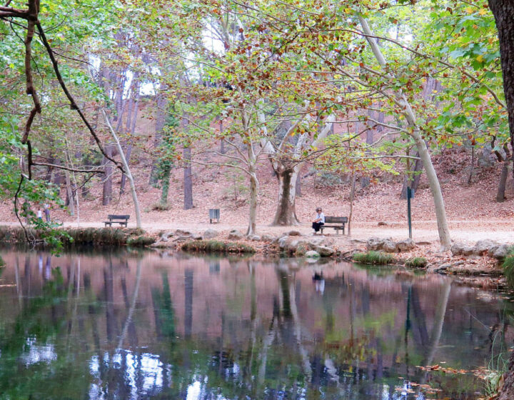 Paisaje en las fuentes del marqués