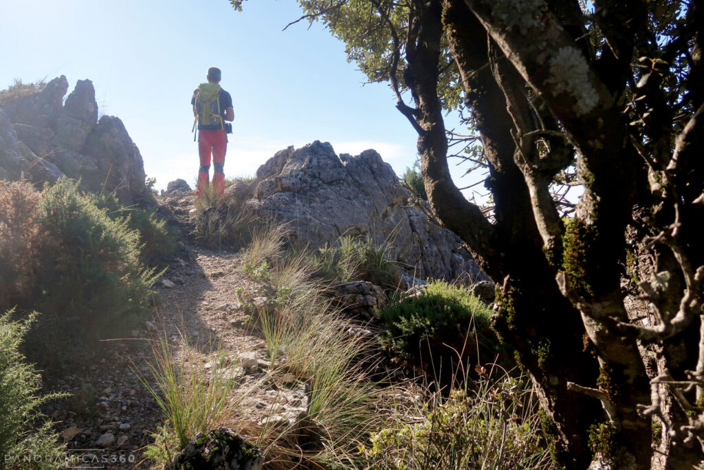 En la ruta de bajada alternativa, haciendo la media ladera que conduce al sendero local