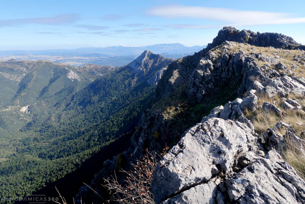 Picos San Cristóbal y El Torreón desde el cordal oeste, y ladera norte de la sierra poblada de pinsapos