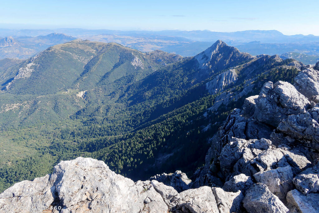 Pico San Cristóbal desde El Torreón y ladera norte de la sierra poblada de pinsapos