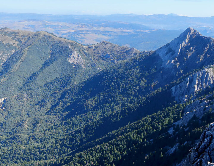 Pico San Cristóbal desde El Torreón y ladera norte de la sierra poblada de pinsapos