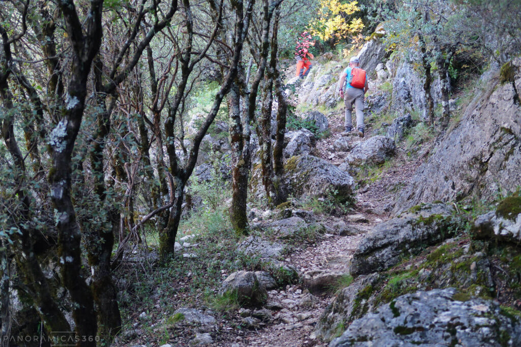 Montañeros subiendo por el sendero SL-A 117 a la cumbre de El Torreón